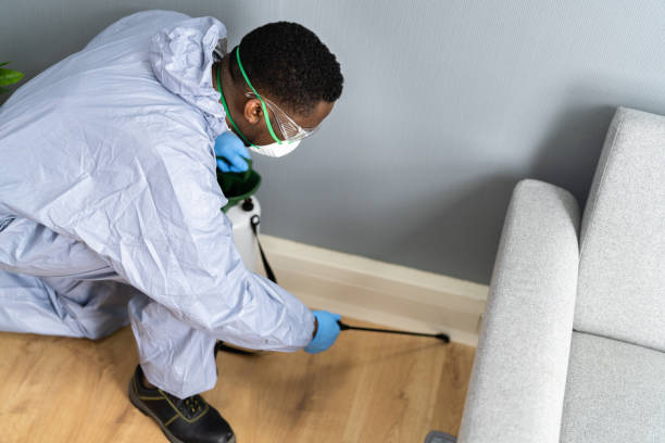 Best Fumigation Services  in Colon, MI